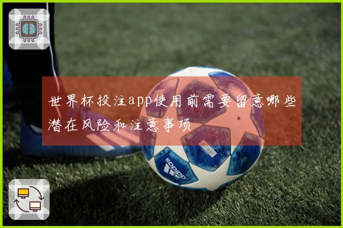世界杯投注app使用前需要留意哪些潜在风险和注意事项