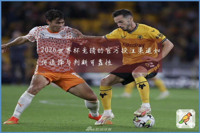 2026世界杯竞猜的官方投注渠道如何选择与判断可靠性